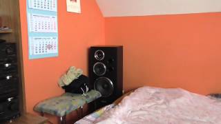Wieża 4 seg Technics + Tonsil Altus 150