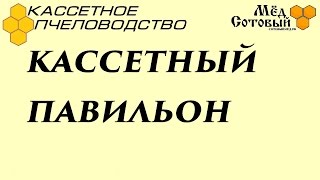 Пчеловодство , Кассетный павильон для пчел, под мед и вывод маток, продажа пчел удодобен