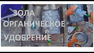 ДЕЛАЕМ НАСТОЙ ЗОЛЫ для подкормки