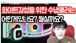 화이트감성을 위한 수냉쿨러는 어떤게있나요? 뭘살까요?