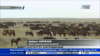 Еңбегі еселенген шаруашылық мемлекет қолдауына ие