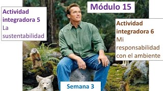 MÓDULO 15 Semana 3 ?‍? Actividades integradoras 5 y 6 ?‍? Prepa-SEP