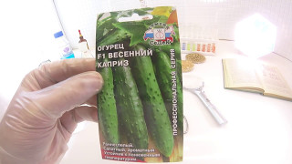 Огурец Весенний Каприз F1. СеДеК