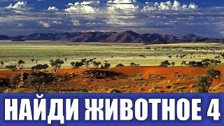 Найди животных 4 ИГРА НАЙДИ ЖИВОТНЫХ Найди зверей  Найди спрятанных животных