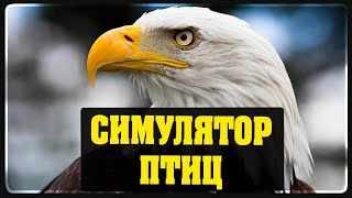 Симулятор птиц - Birds simulator - Наркомания