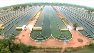 Spirulina Algae Production line in industrial scale- ALGOTAB- GreenBigFood  - تولید جلبک اسپیرولینا