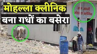 Delhi Mohalla Clinic में इंसानों की जगह गधे कर रहे हैं आराम