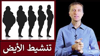 تسريع حرق الدهون | دكتور بيرج يشرح تنشيط الأيض بالتفصيل