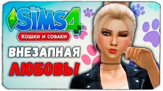 100 ПИТОМЦЕВ - ВНЕЗАПНЫЙ ПАРЕНЬ?! - The Sims 4 "Кошки и Собаки" ЧЕЛЛЕНДЖ