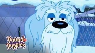 Pound Puppies - Chris Jingles & the Christmas Spirit!