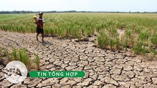 Tin tổng hợp RFA | Nước mặn đã xâm nhập đến 13 tỉnh, thành Đồng Bằng Sông Cửu Long