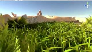 3D Grass Test In Unity 5.3.4