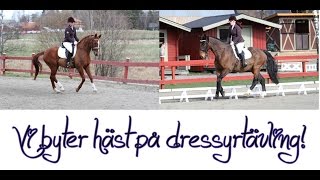 Vi byter häst på dressyrtävling! - vlogg