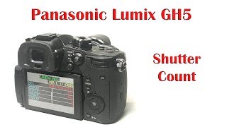 Panasonic Lumix GH5 hidden menu for shutter count - Don't do this with VLOG installed!