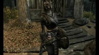 Playing with Khajit Lydia and Whiterun Battle feat Inigo.