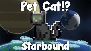 Pets!? GLORIOUS CATS! - Starbound Nightly Build