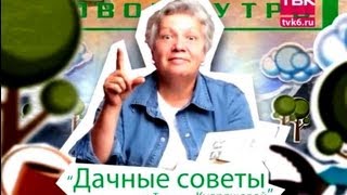 Дачные советы. "Советы тети Тани" - Как подготовить плодовые деревья к зиме