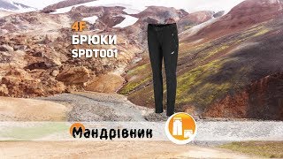Брюки 4F SPDT001