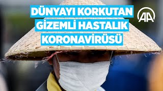 Dünyayı korkutan gizemli hastalık: Koronavirüsü
