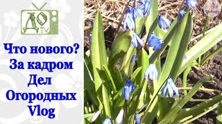 ЗА КАДРОМ Дел Огородных. Что нового. VLOG