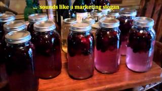 How To Make Easy Homemade Wine ~ (Making Blackberry Wine)