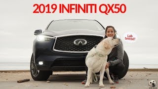 2019 Infiniti QX50: Andie the Lab Review! #Infiniti #LabTESTED #AndietheLab
