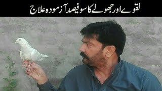 PERFECT TREATMENT FOR LAQWA AND JHOLA