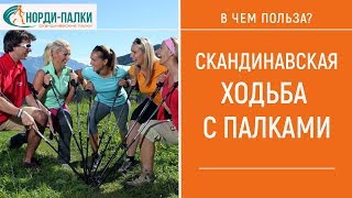 Скандинавские палки для ходьбы.  Скандинавская ходьба полезный и приятный вид спорта