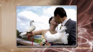 Свадьба " Беж". Проект Proshow producer.Wedding " Beige"