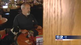 Service Dog and Waitress Save Choking Diner in Layton