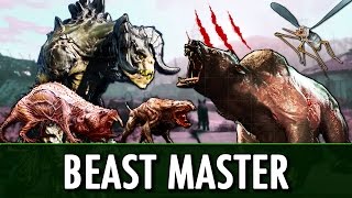 Fallout 4 Mod: Beast Master - Creature Companion Overhaul