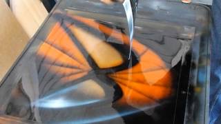 Spray Paint Art Spiderman Tutorial