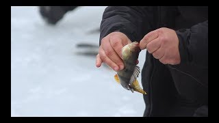 Трофей на море. 17 серия. Зимняя рыбалка
