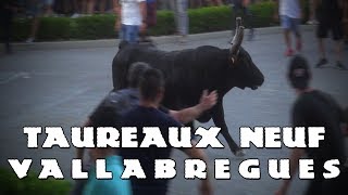 VALLABREGUES Taureaux Neuf 17-06-2019 ?