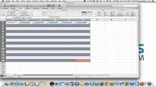 Microsoft Excel Basics