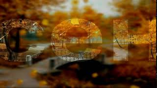 Листопад – футаж