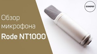 Rode NT1000 Обзор и тест