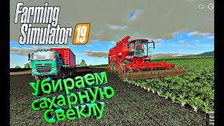 Farming Simulator 2019 Убираем сахарную Свеклу /// з поля № 8