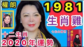 2020年1981年生肖「雞」運勢預測 鼠年十二生肖運勢  權朗師傅