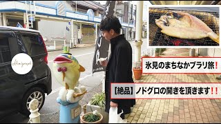 【氷見のまちなかブラリ旅！】干もの家氷見さんでノドグロの開きを頂きます！！