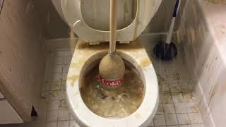 Will it Flush? - Diet Coke and Mentos