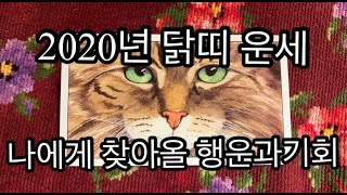 [타로]2020년 닭띠 운세/나에게 찾아올 행운과 기회