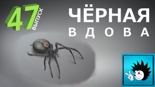 Как рисовать паука Чёрная вдова