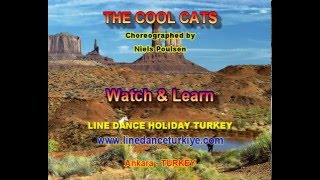The Cool Cats (Watch & Learn)