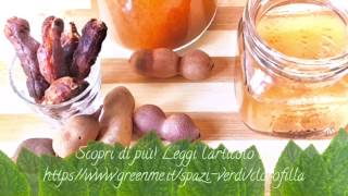 Tamarindo: come preparare una bevanda deliziosa e nutriente