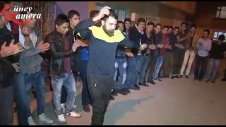 Erkekler izlemesin oryantal arap Show