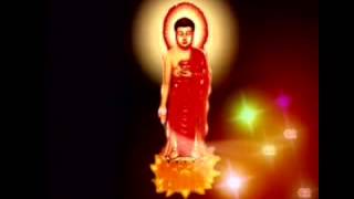 Namo Amitabha Buddha -南无阿弥陀佛- Nam Mô A Di Đà Phật