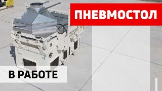 Стол пневмосортировальный СП-200 производства ПОЛЫМЯ  в работе. Оренбургская область.