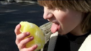 THE YELLOW SNOWBALL!