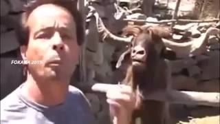 Fokaha maroc 2016 comedie humour funny jadid 2015 جديد فكاهة حيوانات أحسن كوميديا مقالب طرائف ضحك
